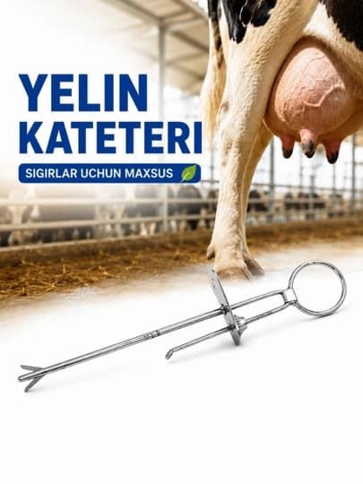 Veterinariya yelin kanali kateteri